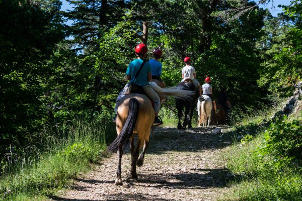 Balade à cheval